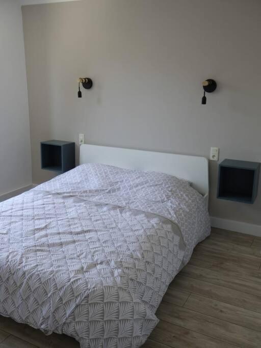 Spacieux Appartement Au Pied De La Cite Medievale Каркасон Екстериор снимка