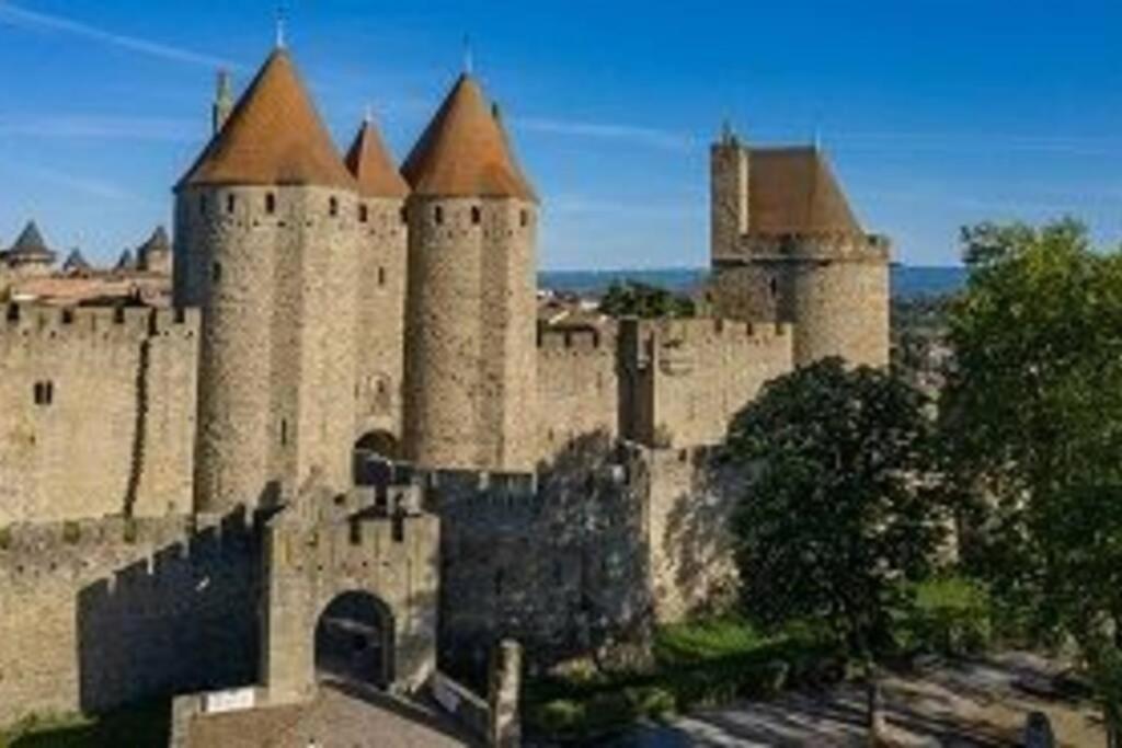 Spacieux Appartement Au Pied De La Cite Medievale Каркасон Екстериор снимка