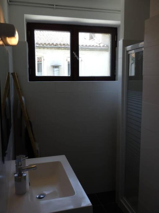 Spacieux Appartement Au Pied De La Cite Medievale Каркасон Екстериор снимка